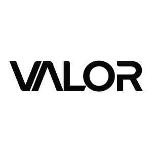 Team Page: VALOR GAMING
